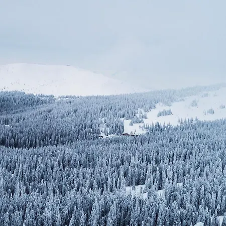 Apartmán Kostovac Boutique Homes - Loft Kopaonik