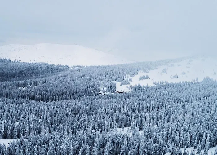 Daire Kostovac Boutique Homes - Loft Kopaonik